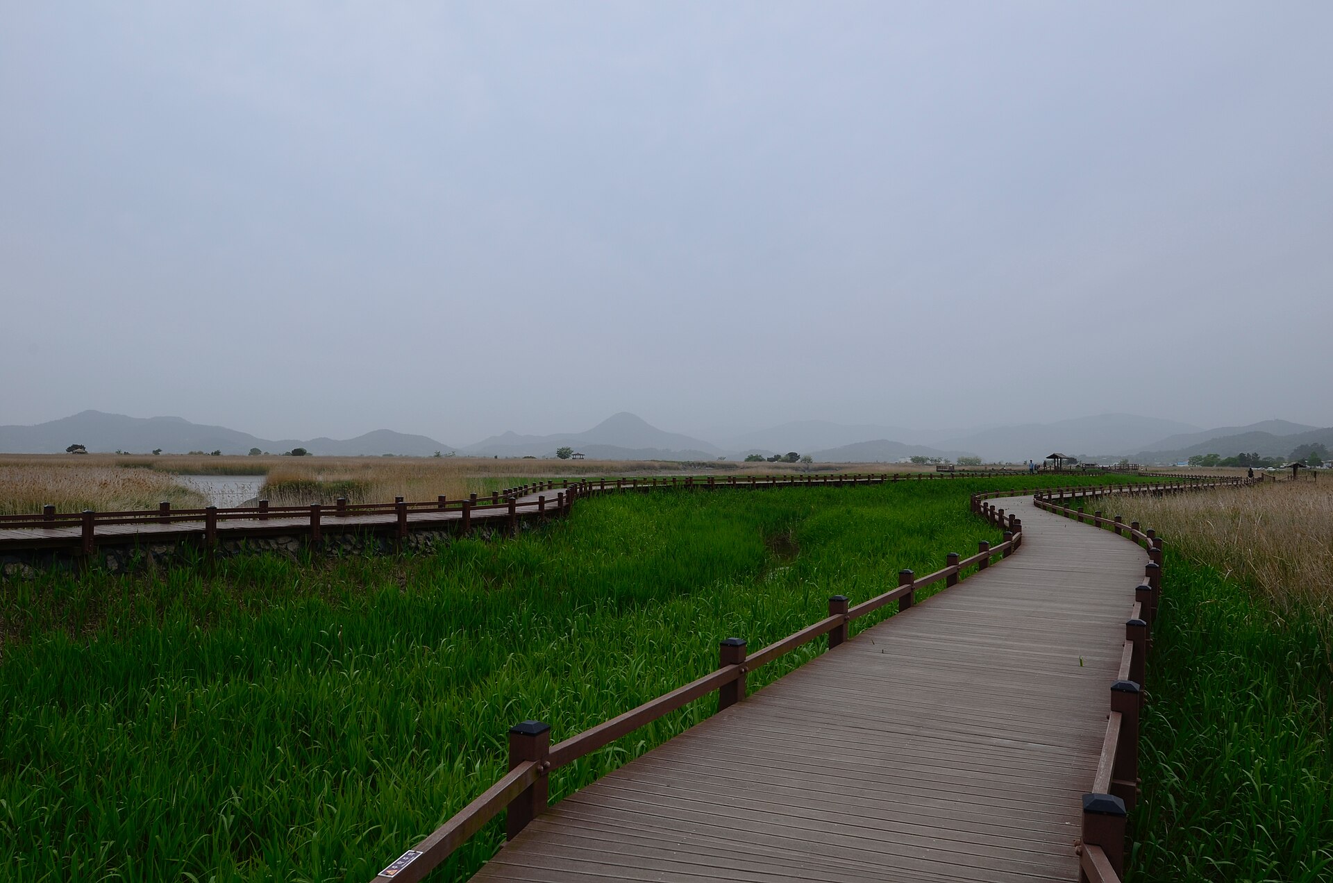 순천만 습지 전경